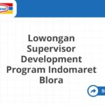 Lowongan Supervisor Development Program Indomaret Blora