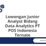 Lowongan Junior Analyst Bidang Data Analytics PT POS Indonesia Ternate